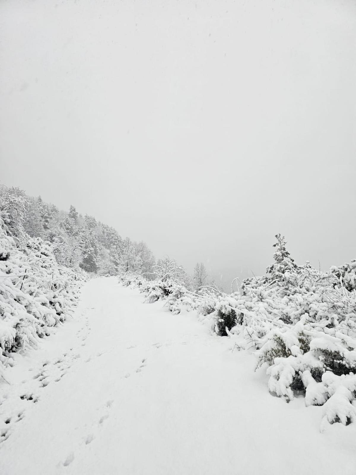 Saldes Pedraforca Appartement Buitenkant foto